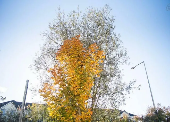 Apartman Holywell Way Swords Cloghran